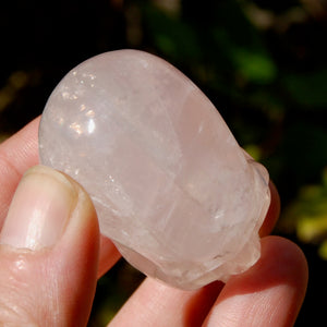 STAR Rose Quartz Crystal Skull