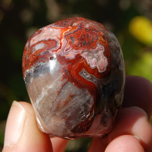 Crazy Lace Agate Crystal Skull