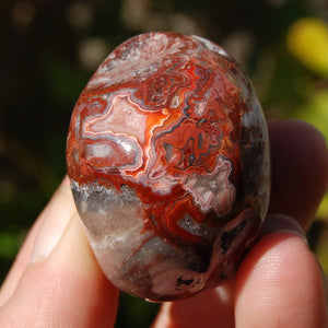 Crazy Lace Agate Crystal Skull