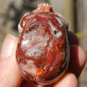 Crazy Lace Agate Crystal Skull