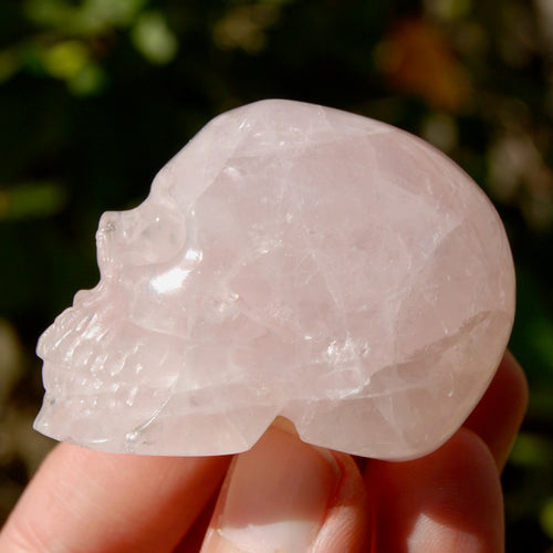 Gemmy Rose Quartz Crystal Skull