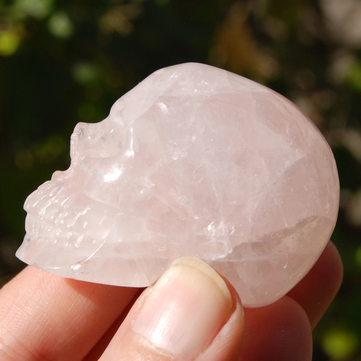 Gemmy Rose Quartz Crystal Skull