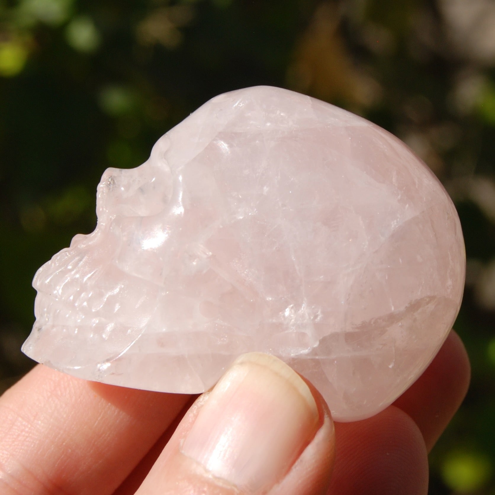 Gemmy Rose Quartz Crystal Skull
