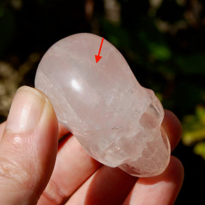 STAR Rose Quartz Crystal Skull