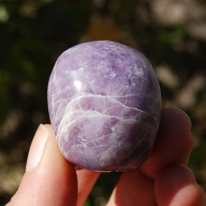 Lepidolite Crystal Skull