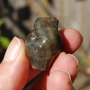 ONE 1.25in Labradorite Anatomical Heart Realistic Crystal Carving