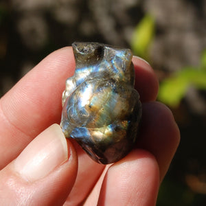 ONE 1.25in Labradorite Anatomical Heart Realistic Crystal Carving