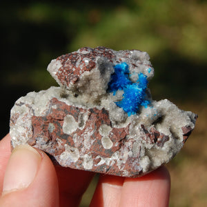 Cavansite Crystal Cluster