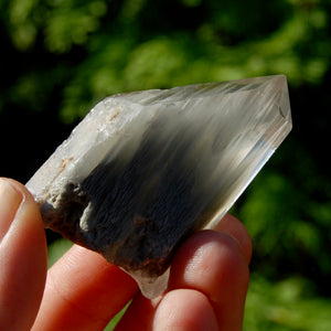 Blue Amphibole Quartz Crystal