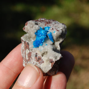 Cavansite Crystal Cluster