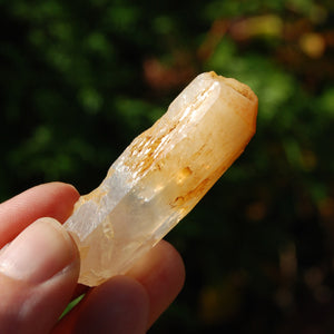 Mango Quartz Crystal