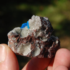 Cavansite Crystal Cluster