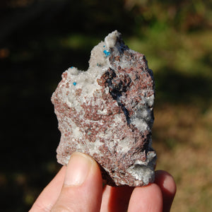 Cavansite Crystal Cluster