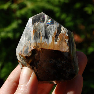 Blue Amphibole Quartz Crystal