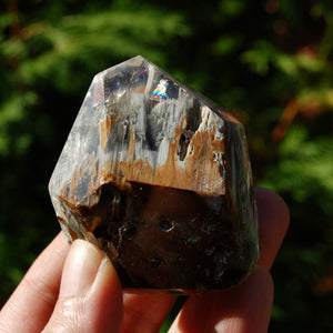 Blue Amphibole Quartz Crystal