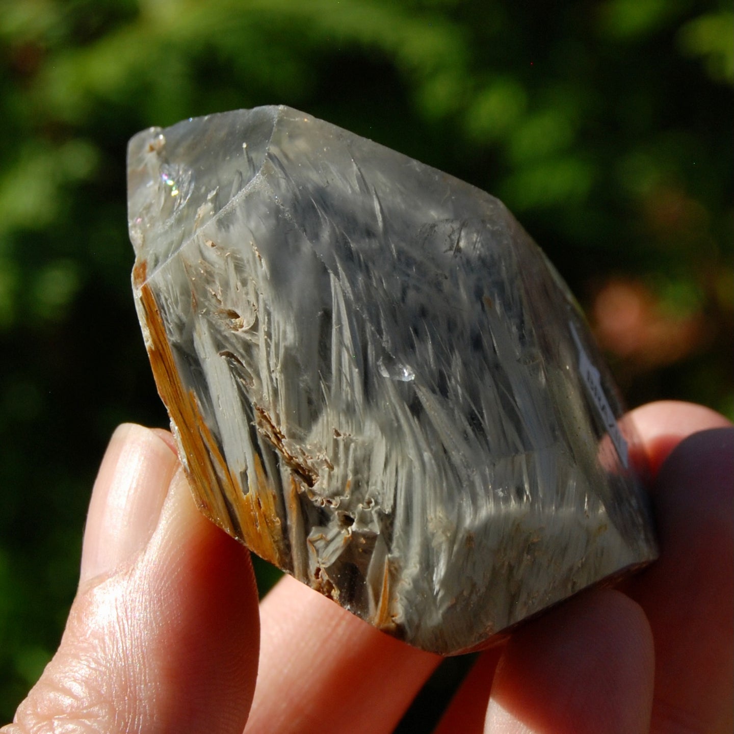 Blue Amphibole Quartz Crystal