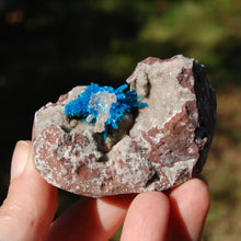 Load image into Gallery viewer, Cavansite Crystal Cluster
