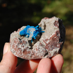 Cavansite Crystal Cluster