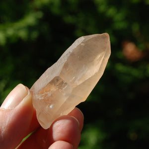 Pink Shadow Smoky Lemurian Crystal, Brazil