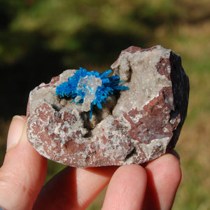 Cavansite Crystal Cluster