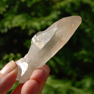 Pink Shadow Smoky Lemurian Seed Quartz Crystal