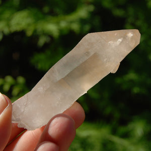 Pink Shadow Smoky Lemurian Seed Quartz Crystal