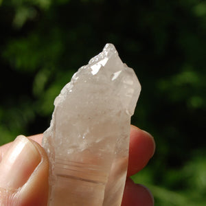 Pink Shadow Smoky Lemurian Seed Quartz Crystal