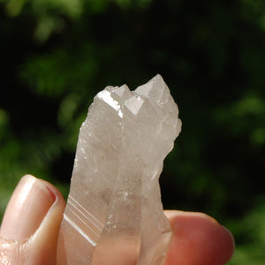 Pink Shadow Smoky Lemurian Seed Quartz Crystal