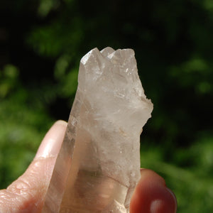 Pink Shadow Smoky Lemurian Seed Quartz Crystal