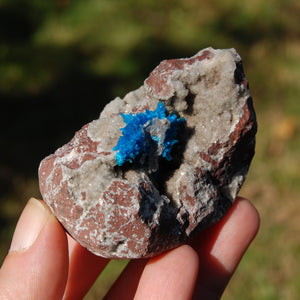 Cavansite Crystal Cluster