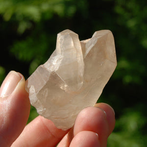 Pink Shadow Lemurian Quartz Crystal