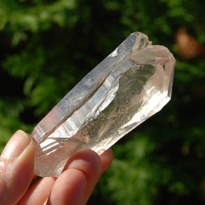 Smoky Lemurian Seed Quartz Crystal