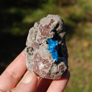 Cavansite Crystal Cluster