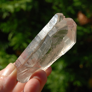 Smoky Lemurian Seed Quartz Crystal