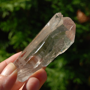 Smoky Lemurian Seed Quartz Crystal