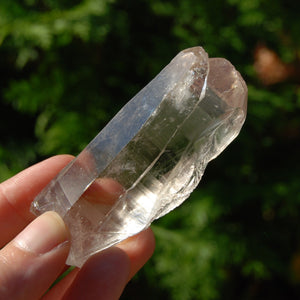 Smoky Lemurian Seed Quartz Crystal