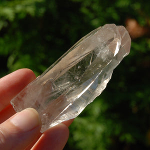 Smoky Lemurian Seed Quartz Crystal