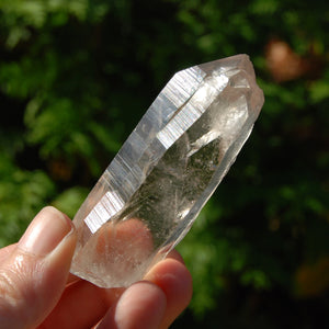 Smoky Lemurian Seed Quartz Crystal