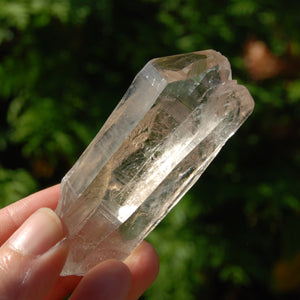 Smoky Lemurian Seed Quartz Crystal