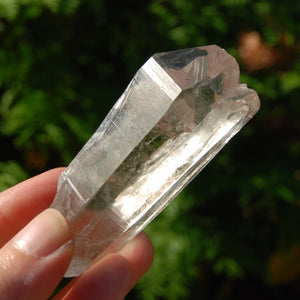 Smoky Lemurian Seed Quartz Crystal