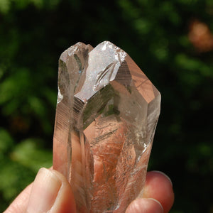 Smoky Lemurian Seed Quartz Crystal