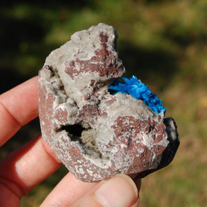 Cavansite Crystal Cluster