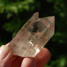 Load image into Gallery viewer, Tantric Twin Smoky Lemurian Seed Quartz Crystal Starbrary
