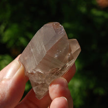 Load image into Gallery viewer, Tantric Twin Smoky Lemurian Seed Quartz Crystal Starbrary
