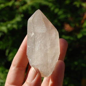 Lemurian Seed Quartz Crystal