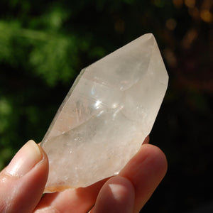 Lemurian Seed Quartz Crystal