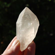 Load image into Gallery viewer, Lemurian Seed Quartz Crystal
