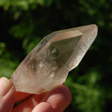 Load image into Gallery viewer, Record Keeper Smoky Lemurian Seed Quartz Crystal Starbrary
