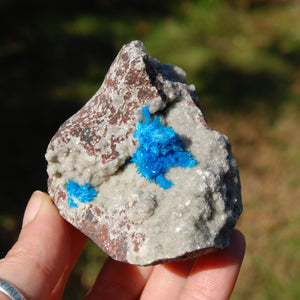 Cavansite Crystal Cluster