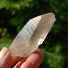 Load image into Gallery viewer, Record Keeper Smoky Lemurian Seed Quartz Crystal Starbrary
